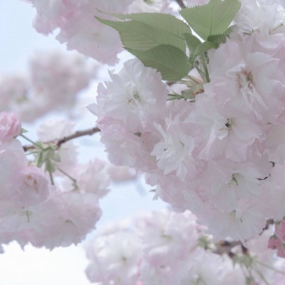 Furry绘画动态表现Furry群